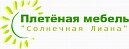 Солнечная лиана